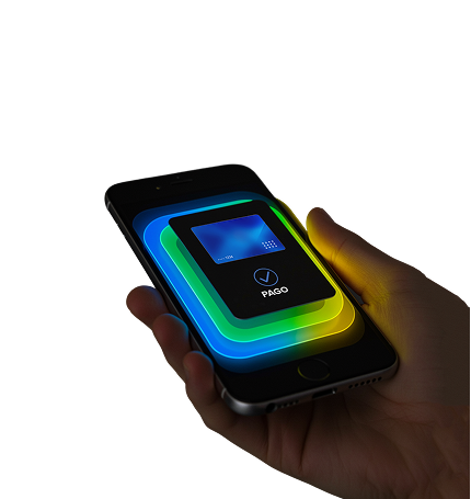 Europix payment system illustration